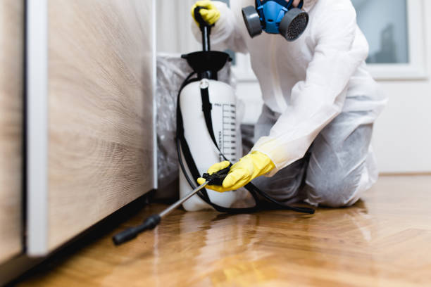 Best Wasp Removal Services  in Carlisle, PA