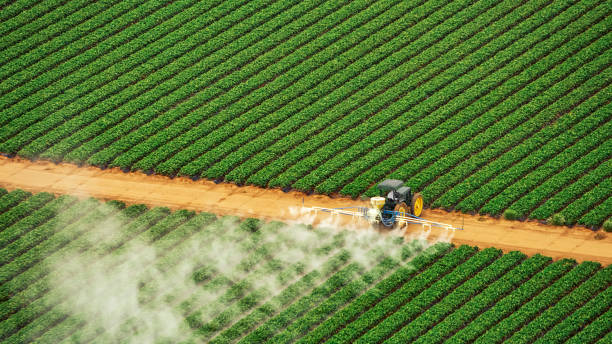 Reliable Carlisle, PA Pest Control Solutions