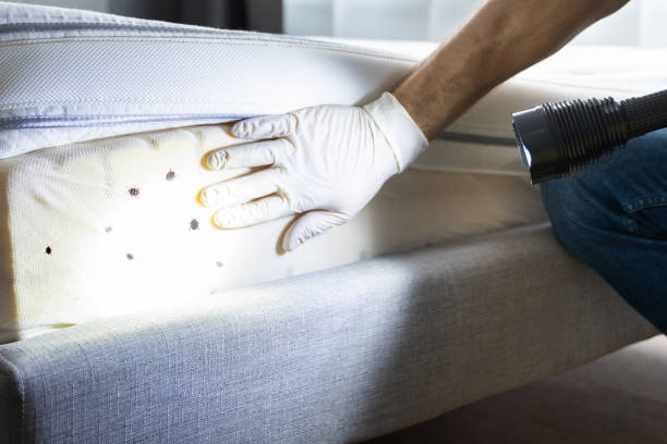 Best Pest Prevention Services  in Carlisle, PA